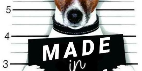 Imagem do grupo de WhatsApp 👽🌚Tudo muito louco🥴🍻