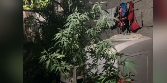 Imagem do grupo de WhatsApp Chega aí rpz.Só entra.Só amzd braba