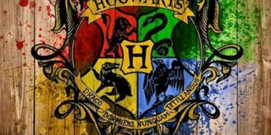 Imagem do grupo de WhatsApp 🌻⃤8ρяσjєтσ_αłσηє🌻⃤