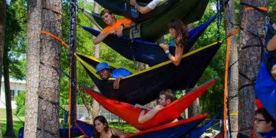 Imagem do grupo de WhatsApp (◍•ᴗ•◍) AMIZADES SEM LIMITES