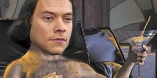 Imagem do grupo de WhatsApp Harry Styles fans