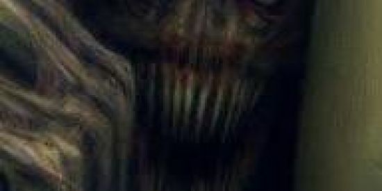 Imagem do grupo de WhatsApp Grupo sem regra(⑉⊙ȏ⊙)