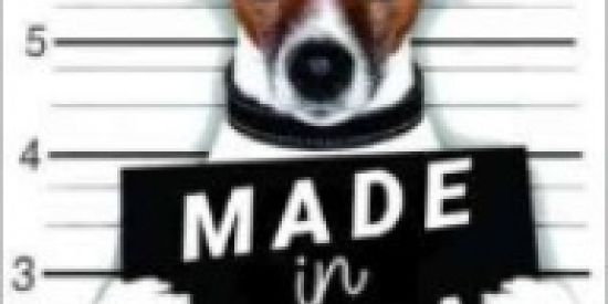 Imagem do grupo de WhatsApp Zorra Total