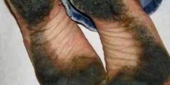 Imagem do grupo de WhatsApp Zoeiras