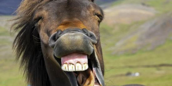 Imagem do grupo de WhatsApp Hospício😛🥴👀