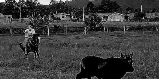 Imagem do grupo de WhatsApp 🔥╬_OS_MALVADO_╬🔥