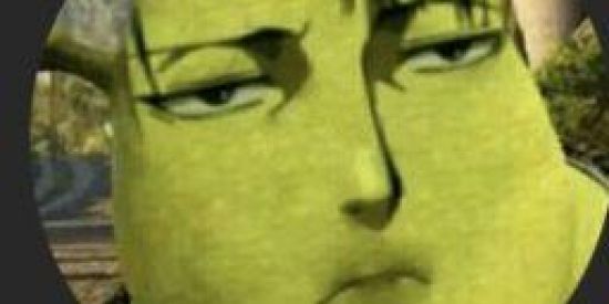 Imagem do grupo de WhatsApp S H I T  R E V E R S O