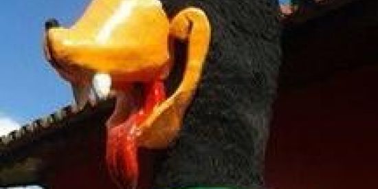 Imagem do grupo de WhatsApp Bem  vindo ao hospício 🔥🎡