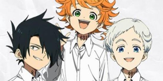 Imagem do grupo de WhatsApp 🌺the promised neverland