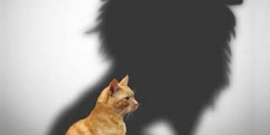 Imagem do grupo de WhatsApp Poder pessoal 🤍