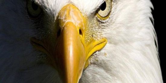 Imagem do grupo de WhatsApp Pode entra ai