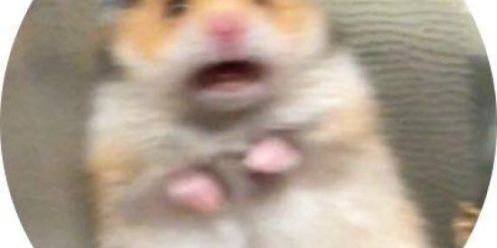 Imagem do grupo de WhatsApp Só entrar, faça novas amizades