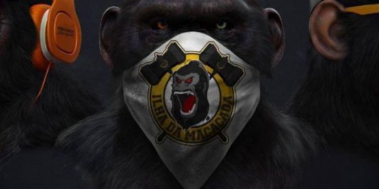 Imagem do grupo de WhatsApp 🦍 ɪʟʜᴀ ᴅᴀ ᴍᴀᴄᴀᴄᴀᴅᴀ ᴏғc🦍