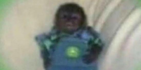 Imagem do grupo de WhatsApp Alzheimers