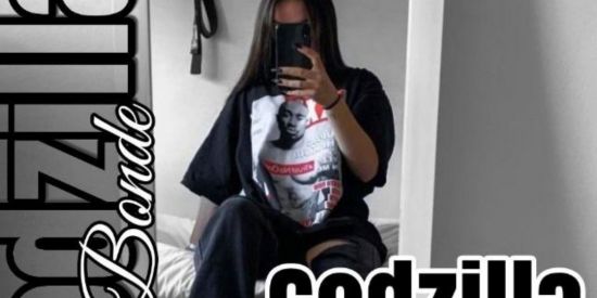 Imagem do grupo de WhatsApp 🐍Recrutamento GDZ🐍