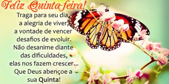 Imagem do grupo de WhatsApp amor romance