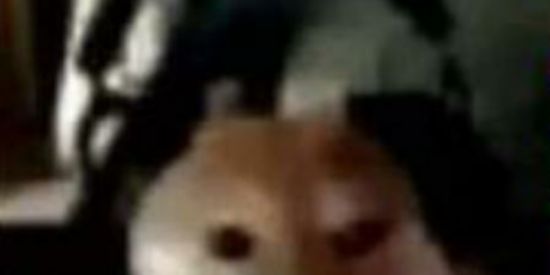 Imagem do grupo de WhatsApp NASA