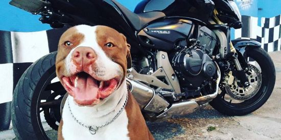 Imagem do grupo de WhatsApp Novos cntts