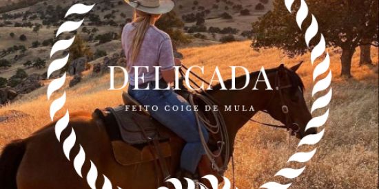 Imagem do grupo de WhatsApp DELICADA FEITO COICE DE MULA 🐎