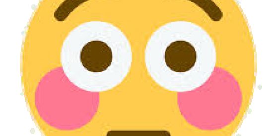 Imagem do grupo de WhatsApp TUDO LIBERADO (;?)÷