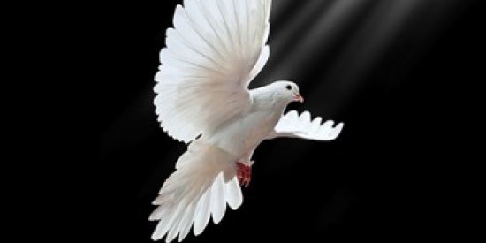 Imagem do grupo de WhatsApp Músicas Gospel