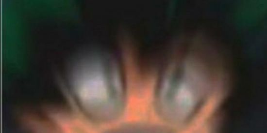 Imagem do grupo de WhatsApp ~CURURUSKKKJ~