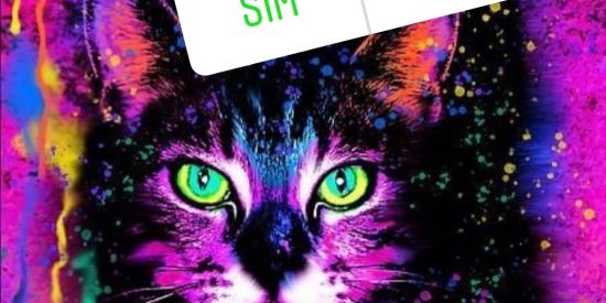 Imagem do grupo de WhatsApp Tudo numa booa