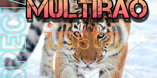 Imagem do grupo de WhatsApp ℙ𝕣𝕠𝕛𝕖𝕥𝕠 𝕚𝕟𝕤𝕥𝕒