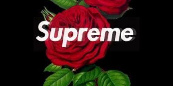 Imagem do grupo de WhatsApp ꧁𖢨𝕾𝖀𝕻𝕽𝕰𝕸𝕰 𝕾𝕳𝕴𝕿𝕻𝕺𝕾𝕿𖢨꧂