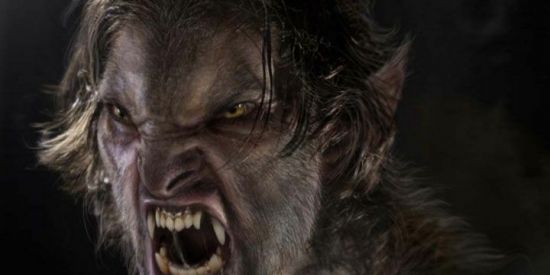 Imagem do grupo de WhatsApp Dark moon