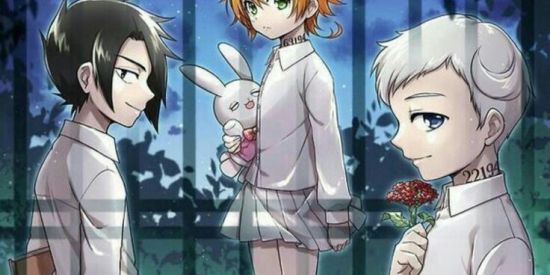 Imagem do grupo de WhatsApp GRACE FIELD