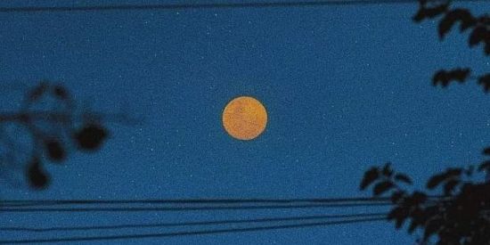 Imagem do grupo de WhatsApp "Vídeos e músicas" 💥🎶