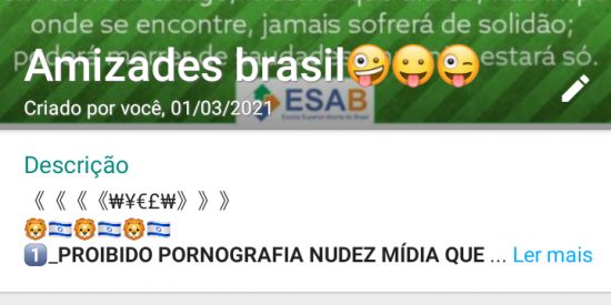 Imagem do grupo de WhatsApp Amizade Brazil