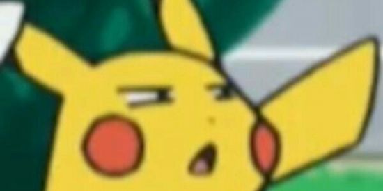 Imagem do grupo de WhatsApp CHAT DOS SHITS