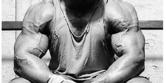 Imagem do grupo de WhatsApp FÁBRICA DE MONSTROS