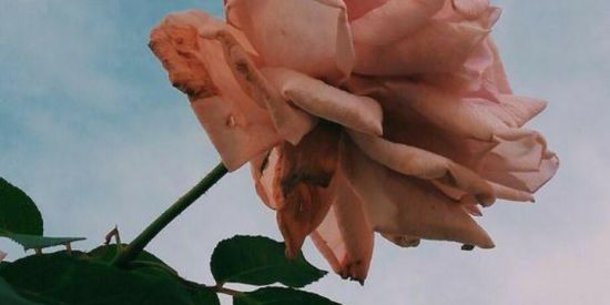 Imagem do grupo de WhatsApp Girls hype