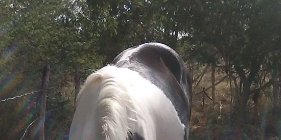 Imagem do grupo de WhatsApp Web amigos