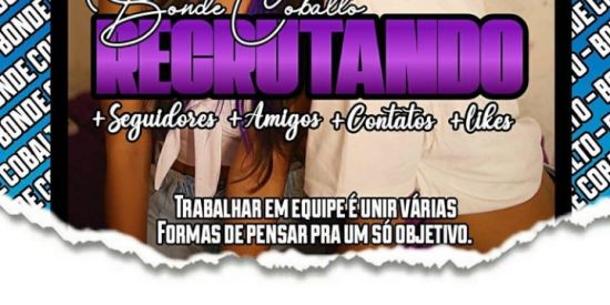 Imagem do grupo de WhatsApp Recrutamento Cobalto 🎡