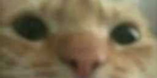 Imagem do grupo de WhatsApp FABRICANTES DE PROBLEMAS