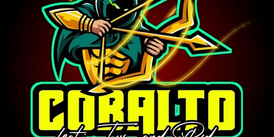 Imagem do grupo de WhatsApp Ganha seguidores no Instagram real