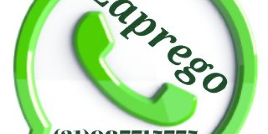 Imagem do grupo de WhatsApp Zaprego (PR) Grupo (01) 📲