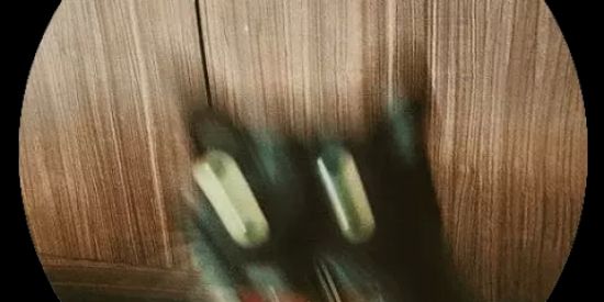 Imagem do grupo de WhatsApp Um grupo aleatório.