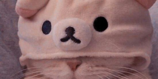 Imagem do grupo de WhatsApp 🌻Web Amigos🌻