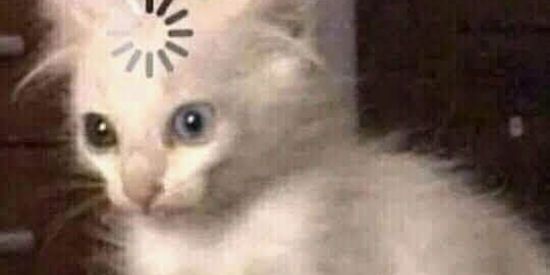 Imagem do grupo de WhatsApp 📌FIGURINHAS ON📌