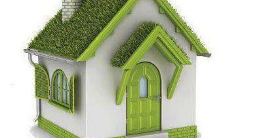 Imagem do grupo de WhatsApp Lar ecológico