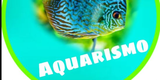 Imagem do grupo de WhatsApp AQUARISMO 🐠