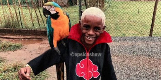 Imagem do grupo de WhatsApp NOVAS AMIZADES