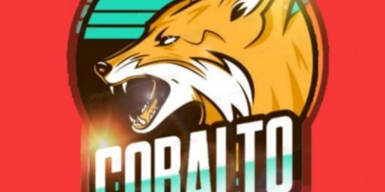 Imagem do grupo de WhatsApp Cobaltos