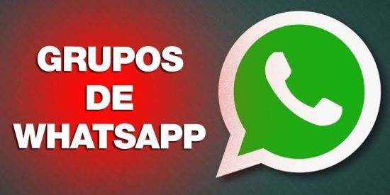 Imagem do grupo de WhatsApp AMIZADES E DILVUGACAO
