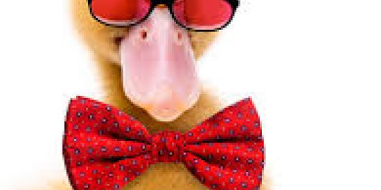 Imagem do grupo de WhatsApp Grandes Figurinhas😂